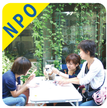 テーブルを囲んで３人の女性スタッフが話し合っている写真（テーブルの上にはホープのマスコット犬・インディがお座りしている）